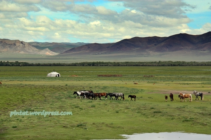 mongolia2.1